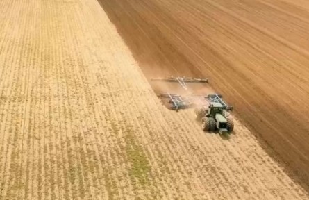 甘肅敦煌：戈壁鹽堿灘變身豐收田