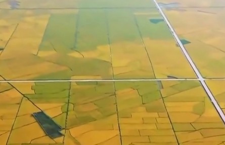 【新思想引領(lǐng)新征程·非凡“十四五”】我國(guó)糧食供給保障能力持續(xù)增強(qiáng)