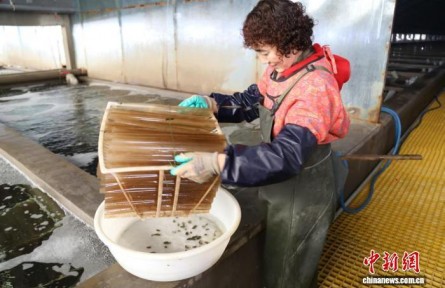 從“靠海吃?！钡健翱萍几！?山東守護(hù)“藍(lán)色糧倉”