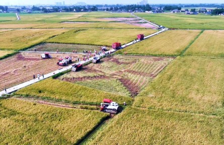 打造更高水平“天府糧倉”——四川加快推進(jìn)農(nóng)業(yè)現(xiàn)代化觀察