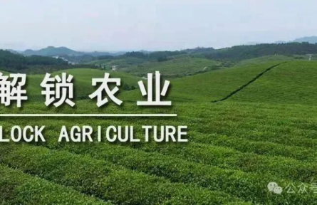 未來十年，中國(guó)需要什么樣的農(nóng)業(yè)品牌？｜特稿