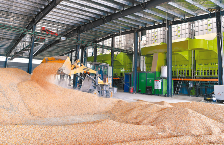 河南遂平：搶收搶烘 顆粒歸倉