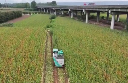 陜西：搶抓晴好天氣 全力保障秋收秋播