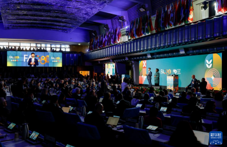 2025年世界糧食論壇在羅馬開(kāi)幕 糧農(nóng)組織慶祝成立80周年