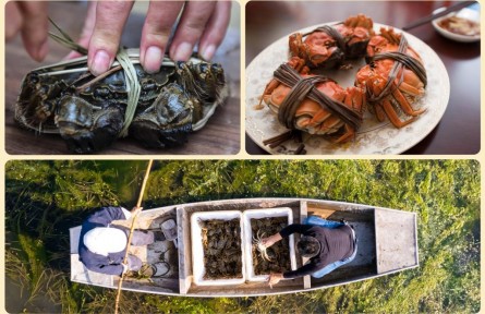 你的秋季時(shí)令美食圖鑒已更新