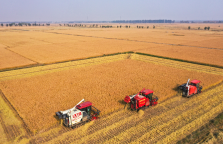 聯(lián)合國糧食及農(nóng)業(yè)組織 Food and Agriculture Organization (FAO) of the United Nations