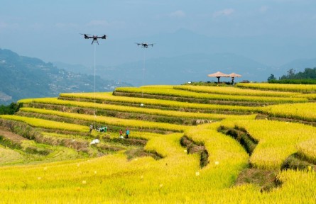 年收入約18萬億元！鄉(xiāng)村產(chǎn)業(yè)繪新貌