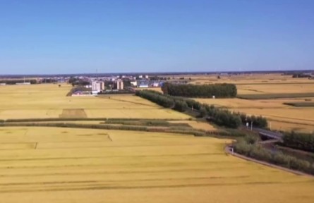 吉林：以豐收做筆 書寫“三農(nóng)”答卷