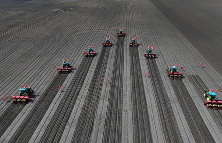 守好糧食生產(chǎn)的命根子！我國(guó)擬立法加強(qiáng)耕地保護(hù)和質(zhì)量提升