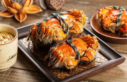 辟謠|剛死的螃蟹，到底能不能吃？