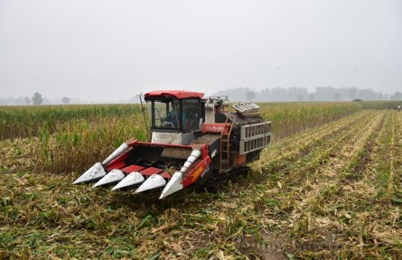 如何打好秋收秋種這場(chǎng)硬仗？