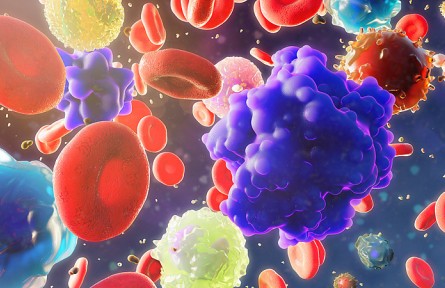 科技名詞|循環(huán)腫瘤細(xì)胞 circulating tumor cell；CTC