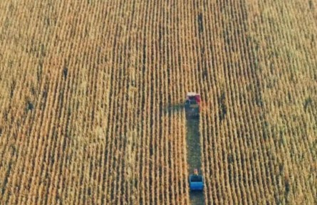 吉林秋收“加速度”，進度同比提速5%