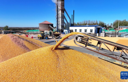 霜降時節(jié)農(nóng)事忙