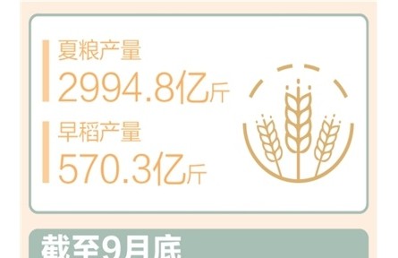 前三季度農(nóng)村居民人均可支配收入同比實(shí)際增長(zhǎng)6%