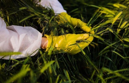 斬?cái)嗵镩g竊密黑手！間諜在我國(guó)搜集農(nóng)作物基因數(shù)據(jù)