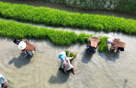 挖掘農(nóng)業(yè)文化遺產(chǎn)價(jià)值 賦能鄉(xiāng)村全面振興