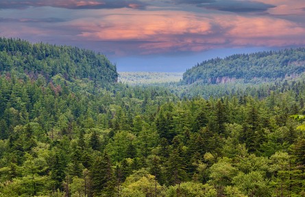 科技名詞|自然保護(hù)區(qū) nature reserve，nature sanctuary