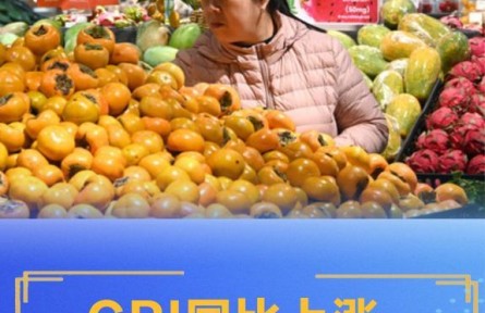 核心CPI漲幅連續(xù)第6個(gè)月擴(kuò)大