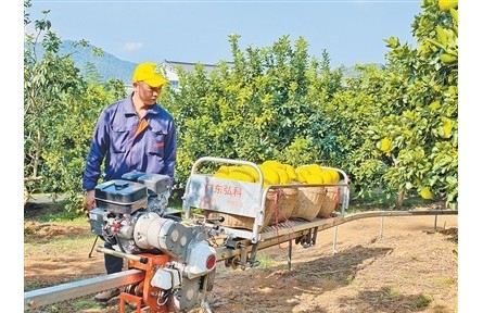 廣東梅州梅縣區(qū)南福村延伸金柚產(chǎn)業(yè)鏈，推動農(nóng)文旅融合——柚農(nóng)從一季賣果到四季有進項