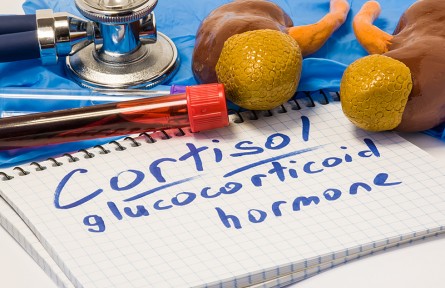 科技名詞|糖皮質(zhì)激素 glucocorticoid；glucocorticosteroid