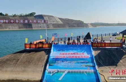 廣西大藤峽工程累計放流近2000萬尾魚苗 保護(hù)珠江流域生物多樣性