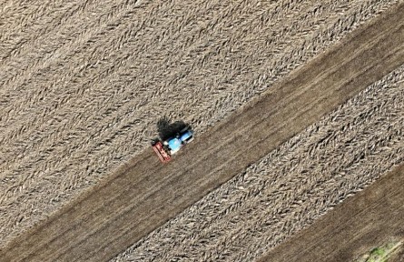 記者手記：晚播晚種，會影響“中原糧倉”明年夏收嗎？