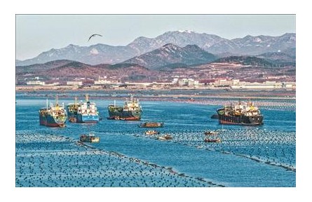 山東榮成：鮑魚南下轉(zhuǎn)場(chǎng)進(jìn)行時(shí)
