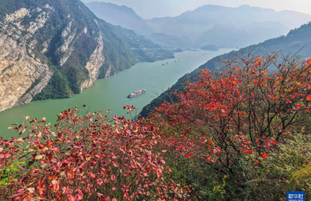 裁取冬色入畫框