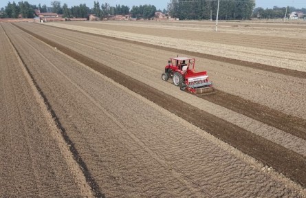 今冬不放松，來年“豐”可期——多地冬種及田間管護見聞