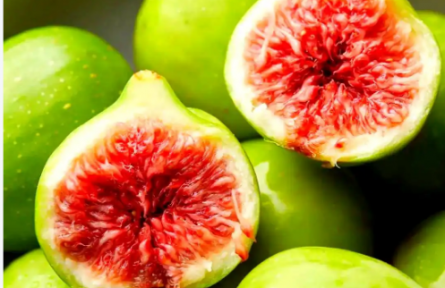 山東威海：山海之間的“糖包子”——無(wú)花果