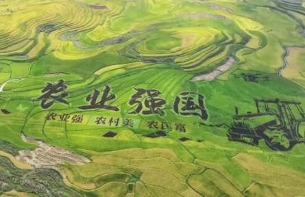 【踐行新發(fā)展理念 中國經(jīng)濟行穩(wěn)致遠】鄉(xiāng)村全面振興扎實推進 農(nóng)業(yè)農(nóng)村現(xiàn)代化邁出堅實步伐