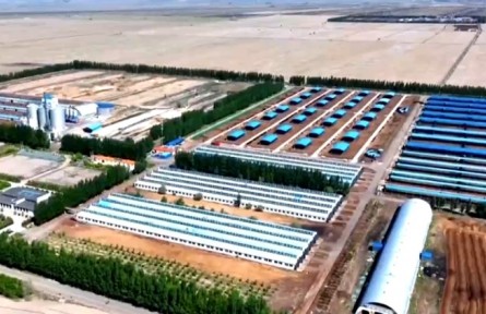 新疆加快提升農(nóng)業(yè)產(chǎn)業(yè)競爭力