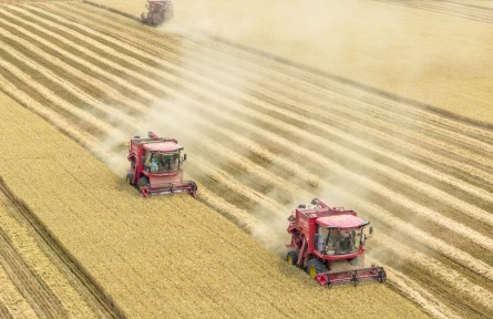 筑牢發(fā)展安全根基 守住風(fēng)險防控底線——解碼中國經(jīng)濟穩(wěn)健前行的底氣