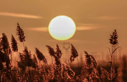 甘肅敦煌：大漠孤煙直，黨河落日圓