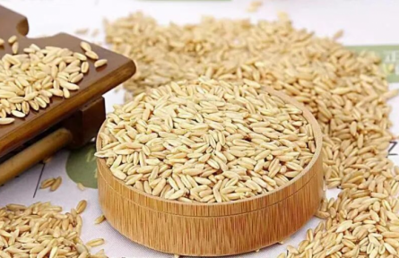 家鄉(xiāng)特優(yōu)農(nóng)產(chǎn)品大學(xué)生推薦官 | 品牌手記?：寧武，高山雜糧莜麥變營養(yǎng)黃金