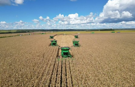 我國最大墾區(qū)北大荒集團糧食總產(chǎn)463.14億斤 實現(xiàn)“二十二連豐”