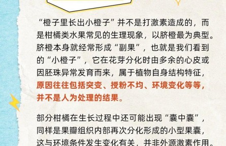 橙子里的“小橙子”有激素不能吃嗎？