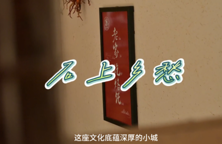 家鄉(xiāng)特優(yōu)農(nóng)品大學生推薦官 | 品牌短視頻 ③：石上鄉(xiāng)愁