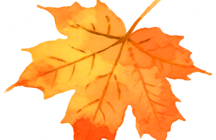 2025家鄉(xiāng)“特”“優(yōu)”農(nóng)產(chǎn)品“大學生推薦官”公益行動（第1季）圓滿收官