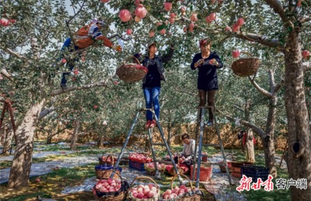 甘肅：全國名特優(yōu)新名錄再添18個“甘”字號農(nóng)產(chǎn)品