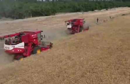 新疆：錨定振興目標(biāo) 繪就農(nóng)業(yè)農(nóng)村現(xiàn)代化新圖景