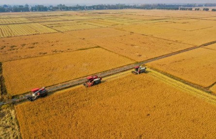 2026年“三農(nóng)”怎么干？中央農(nóng)村工作會議明確了這三點