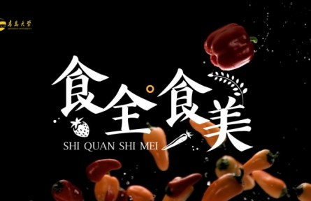 《食全食美》營養(yǎng)學(xué)講座視頻