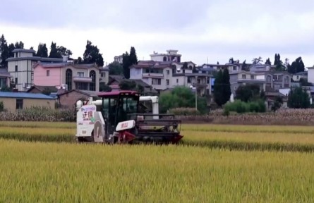 筑牢根基 守好糧倉 云南糧食和物資儲備保障能力顯著增強(qiáng)