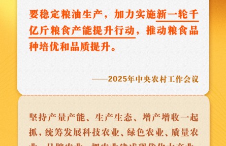 中央農(nóng)村工作會議關(guān)鍵提法之四：新一輪千億斤糧食產(chǎn)能提升行動