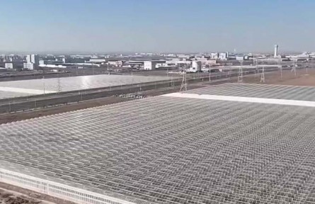 甘肅蘭州：智能培育+冷鏈保鮮 鮮切玫瑰暢銷海內(nèi)外