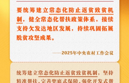 中央農(nóng)村工作會議關(guān)鍵提法之六：常態(tài)化防止返貧致貧機(jī)制