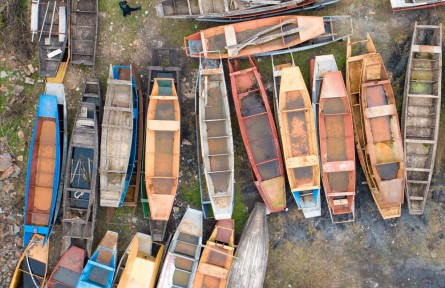 長江禁漁五年，發(fā)生了哪些變化？