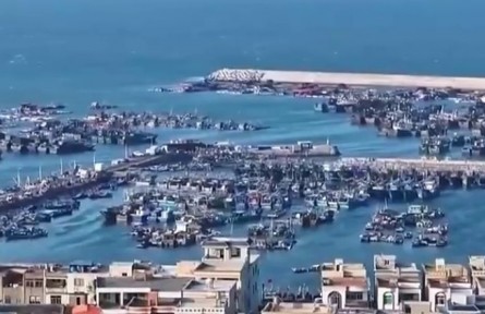 【“十五五”開好局起好步】奮發(fā)進(jìn)取 繪就鄉(xiāng)村振興新圖景